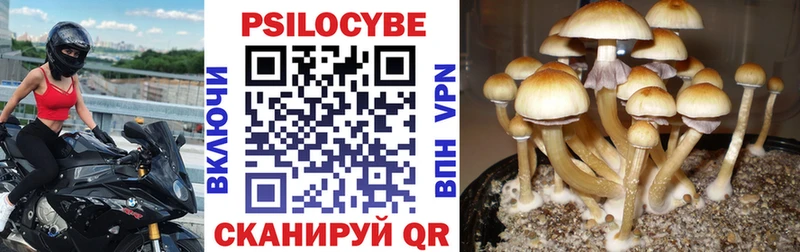 Псилоцибиновые грибы ЛСД  купить наркотики сайты  MEGA   Разумное 
